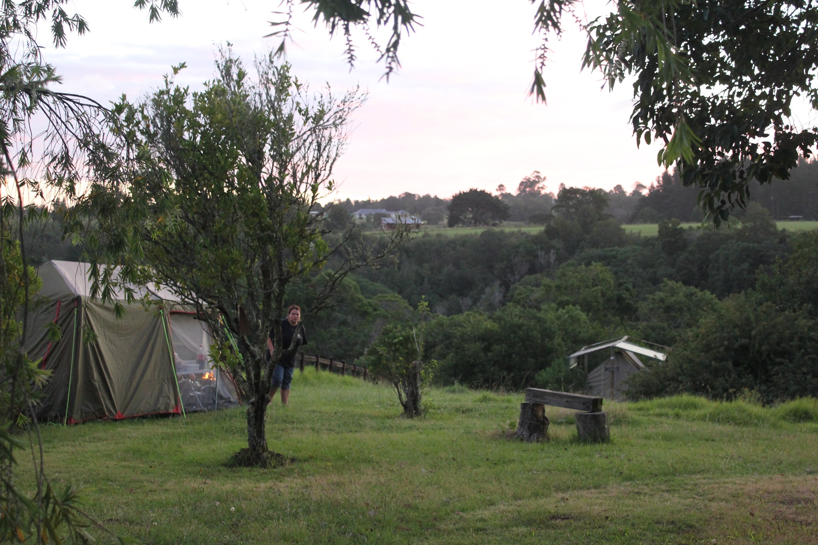 Camping Peace of Eden, vegan eco Forest Retreat & Backpacker